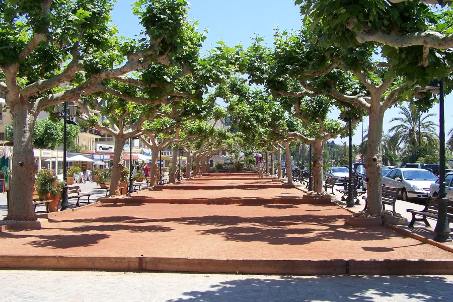 Le port et le littoral du Lavandou, Var